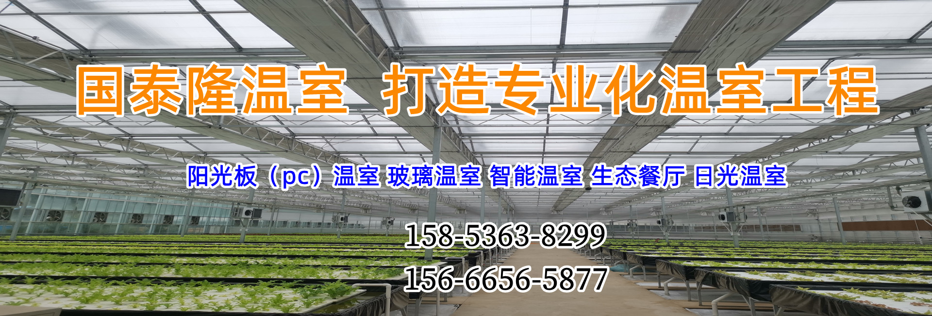 廢家電破碎機(jī) 廢家電破碎機(jī)